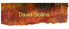 David Gollins