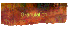 Granulation