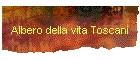Mostre