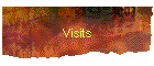 Visits